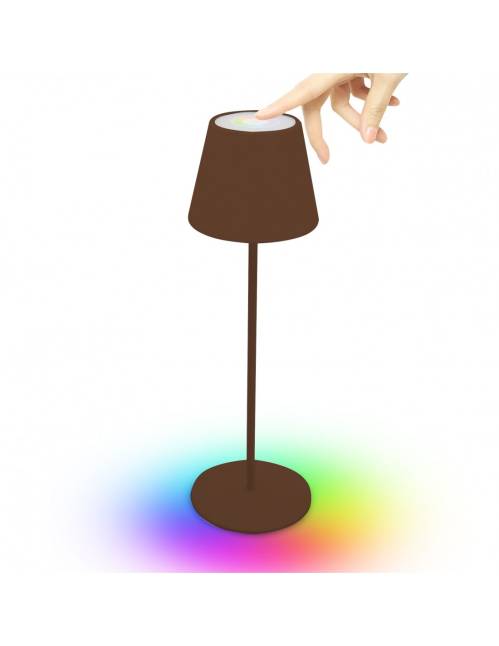 Lampada da Tavolo + USB Marrone Josephin