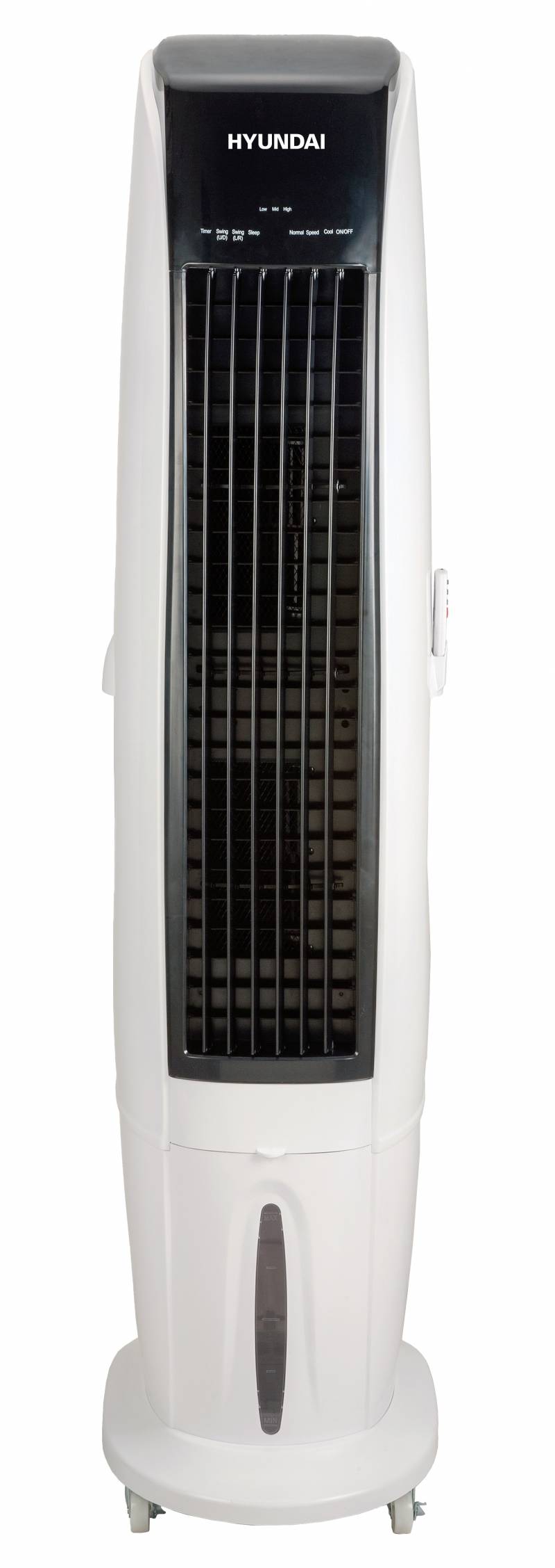 Immagine di copertina n.1